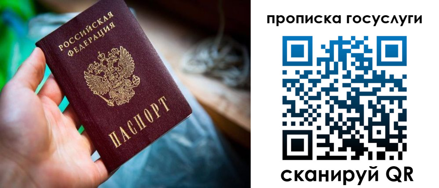 временная регистрация в квартире в Камчатской области